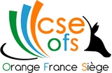 Logo CSE OFS